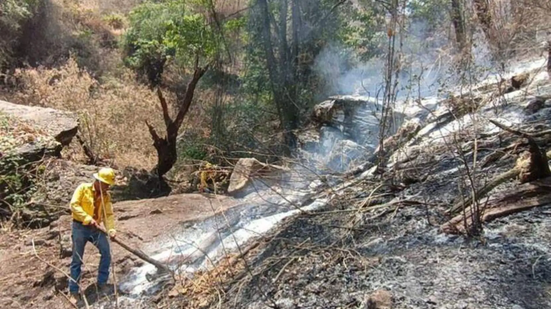 incendio-biosfera-huautla (2)